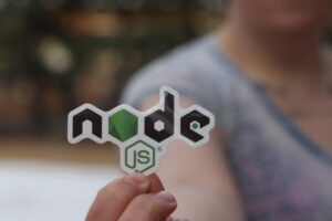 Node.JS(Back-End Developer)